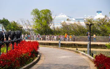 港口风光游人学校春游行径高清画面