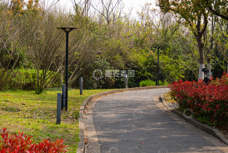 高清大图下载【趣麦麦图】吴淞口炮台湾国家湿地公园小路春光美景