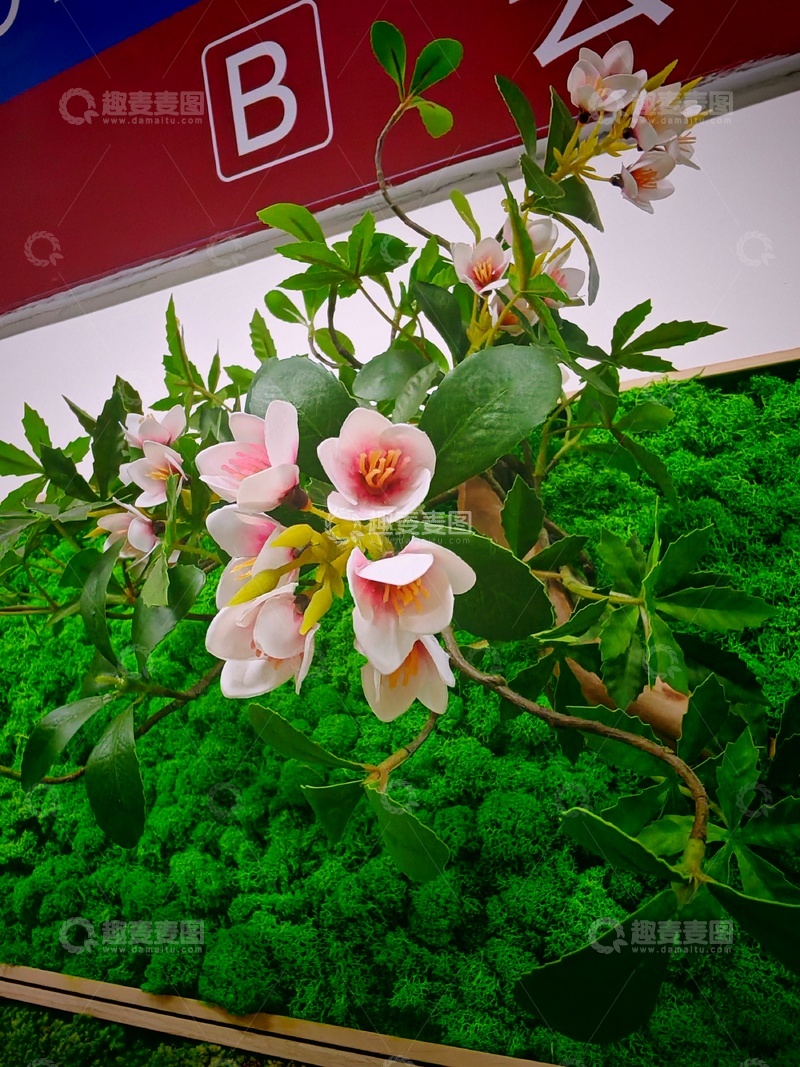 高清大图下载【趣麦麦图】绽放粉花绿背景装饰图