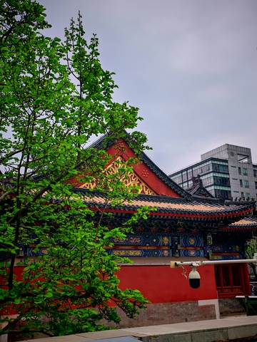 传统红墙古建筑美景