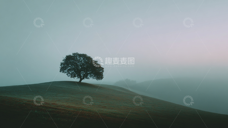 高清大图下载【趣麦麦图】起伏山丘上的孤树奇景