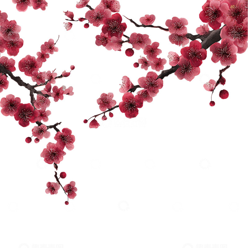 高清大图下载【趣麦麦图】粉色花海的梦幻盛宴
