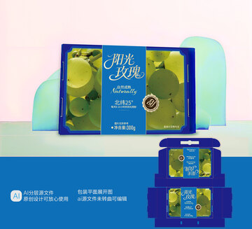 葡萄包装阳光玫瑰包装