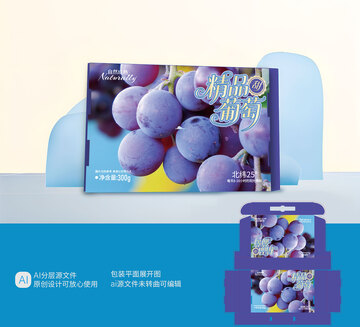 精品葡萄紫色葡萄包装设计