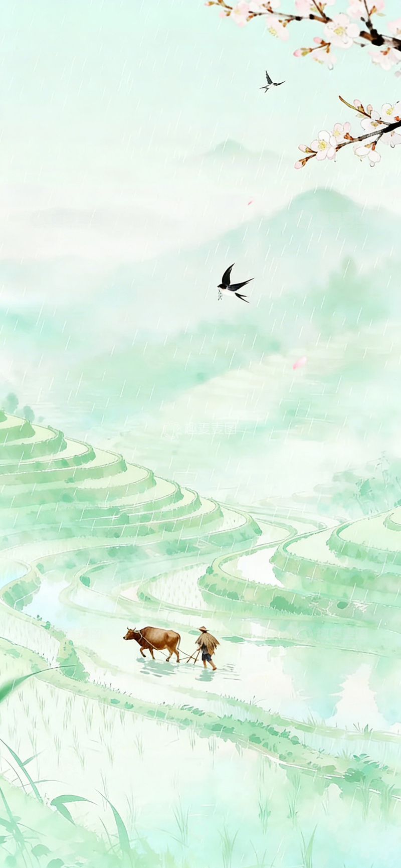 高清大图下载【趣麦麦图】春雨梯田 耕牛农作图