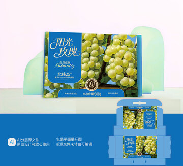 葡萄包装礼盒设计阳光玫瑰