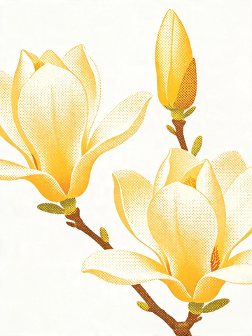 丝网印刷质感玉兰花2