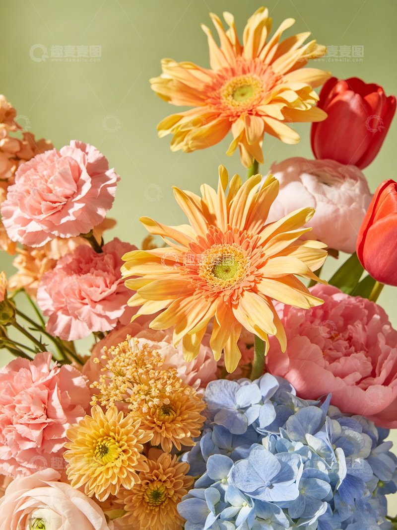 高清大图下载【趣麦麦图】绚丽花卉组合插画设计素材