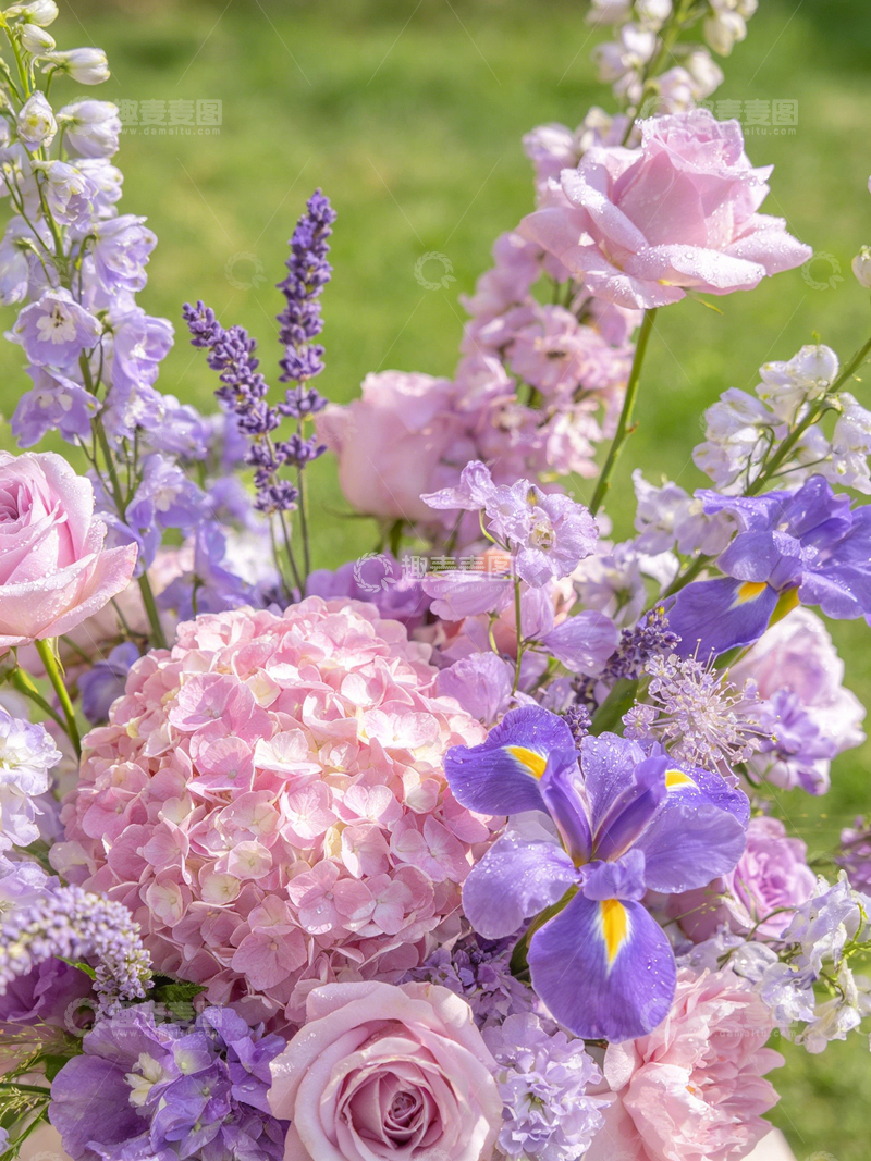 高清大图下载【趣麦麦图】花园花卉缤纷盛宴