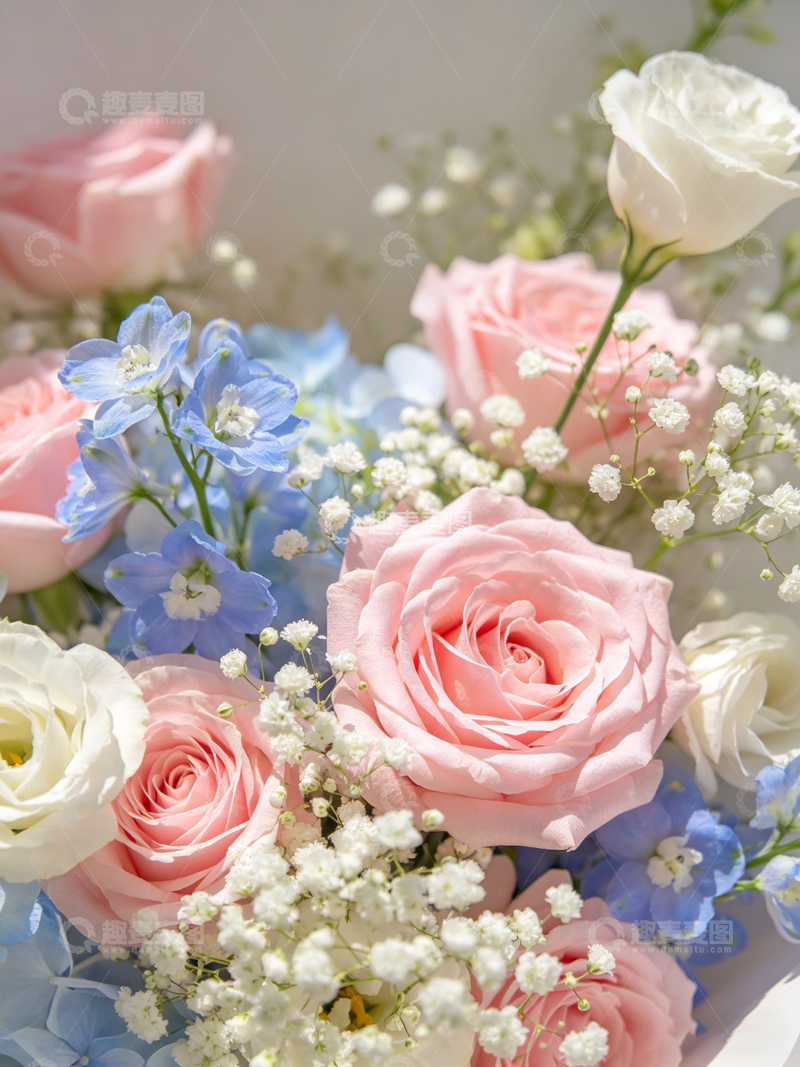 高清大图下载【趣麦麦图】鲜花束粉白蓝相间花卉组合
