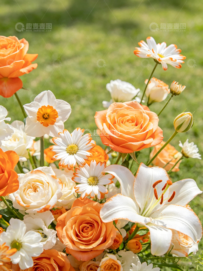 高清大图下载【趣麦麦图】春日鲜花盛开花园美景