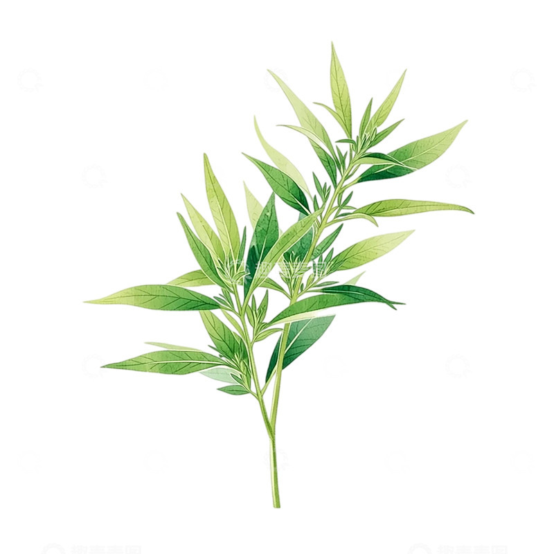 高清大图下载【趣麦麦图】艾草芳菲古韵缥缈