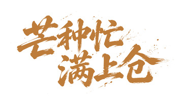 芒种忙满上仓芒种节气书法字