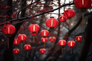 树枝上挂着的红色小灯笼