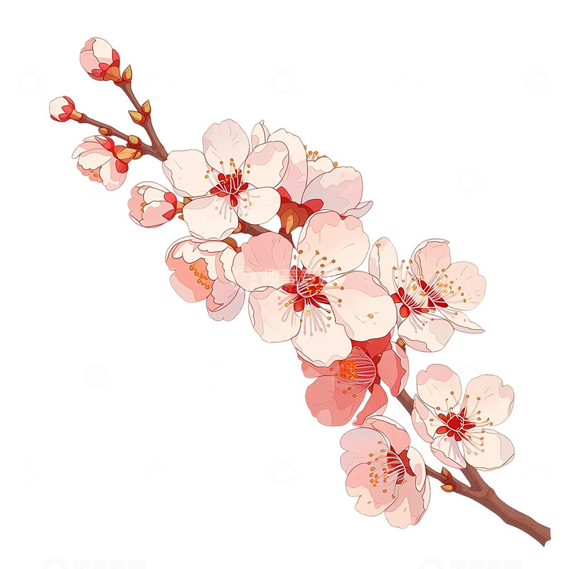 高清大图下载【趣麦麦图】春日樱花盛开如云祥云