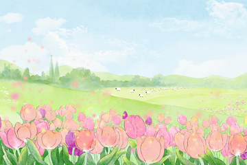 郁金香田园风光插画