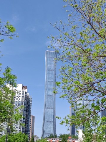 城市高楼绿树蓝天