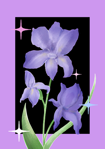 紫色鸢尾花手绘插画设计