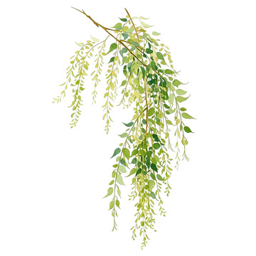 柳枝轻舞春风拂面