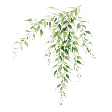 柳枝摇曳春风中