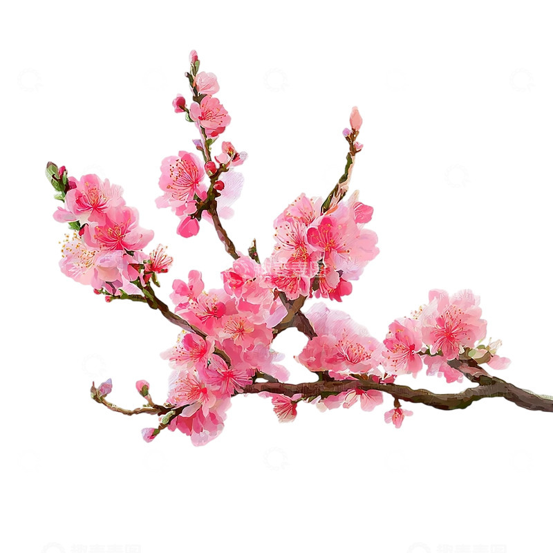 高清大图下载【趣麦麦图】春日桃花盛开奇迹