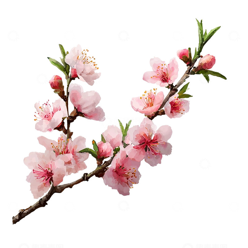 高清大图下载【趣麦麦图】粉色桃花盛开奇幻景象