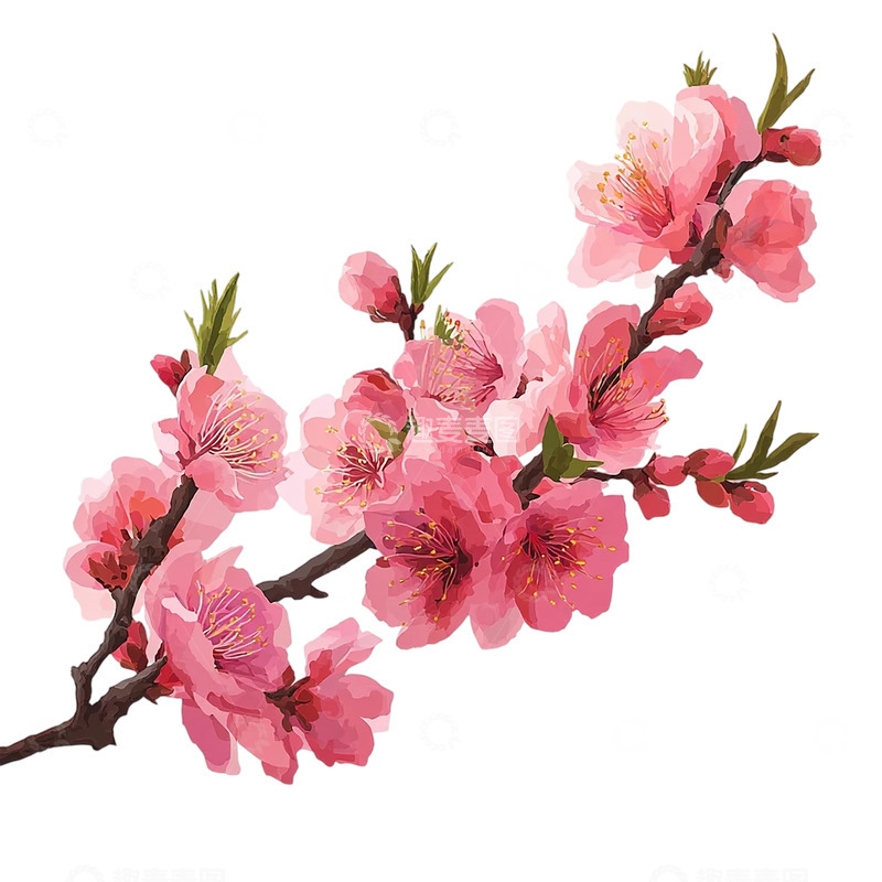 高清大图下载【趣麦麦图】春意盎然桃花盛开如画