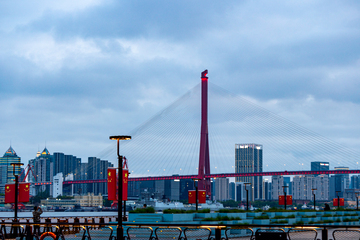 上海杨浦大桥城市桥梁风光摄影