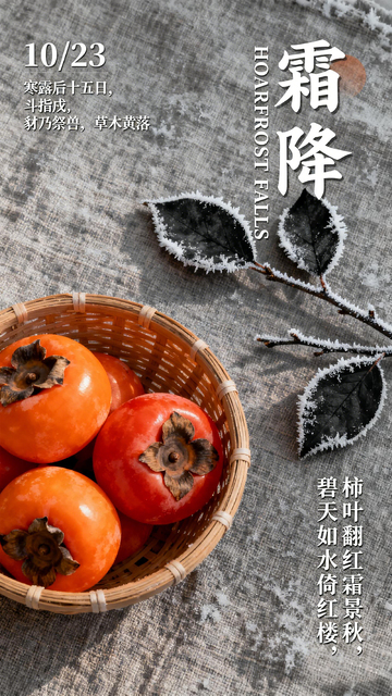 霜降柿子秋意浓