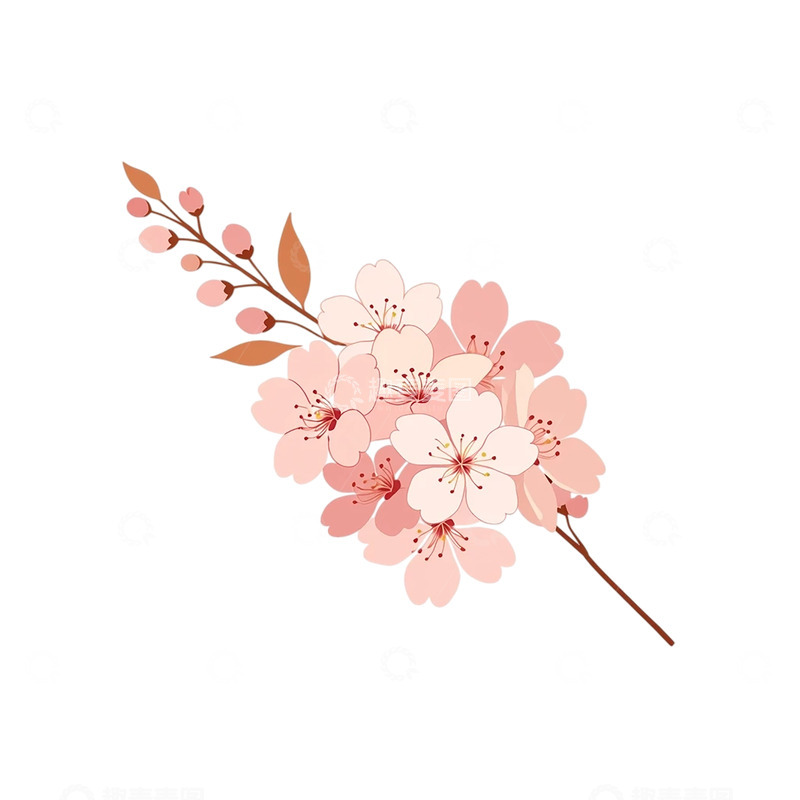 高清大图下载【趣麦麦图】春日樱花纷飞盛景