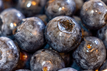 新鲜18mm超大蓝莓微距特写摄影图片