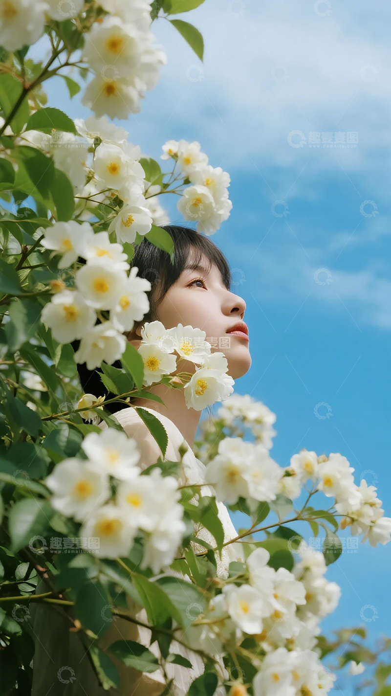 高清大图下载【趣麦麦图】春日花海少女写真