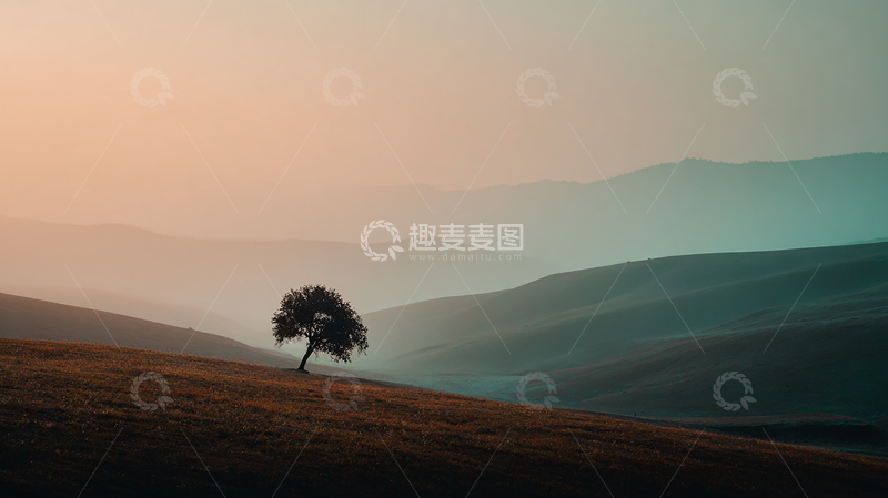 高清大图下载【趣麦麦图】山巅孤树的寂寞诗篇