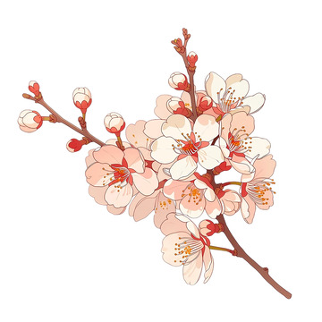 春意盎然杏花盛开幻想