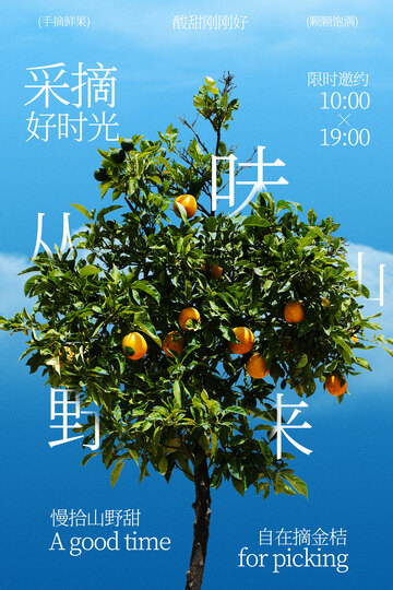 田园橘子采摘好时光