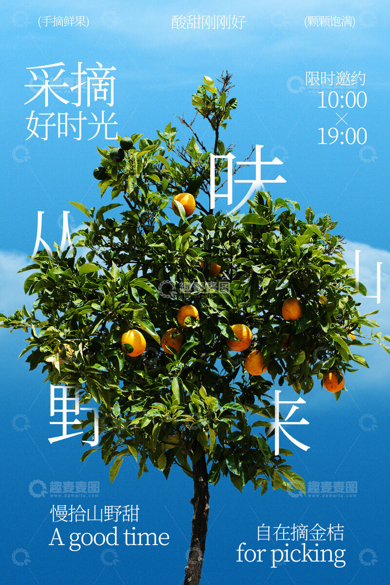 源文件下载【趣麦麦图】-田园橘子采摘好时光