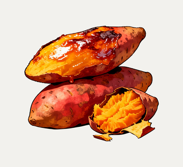 插画烤红薯1