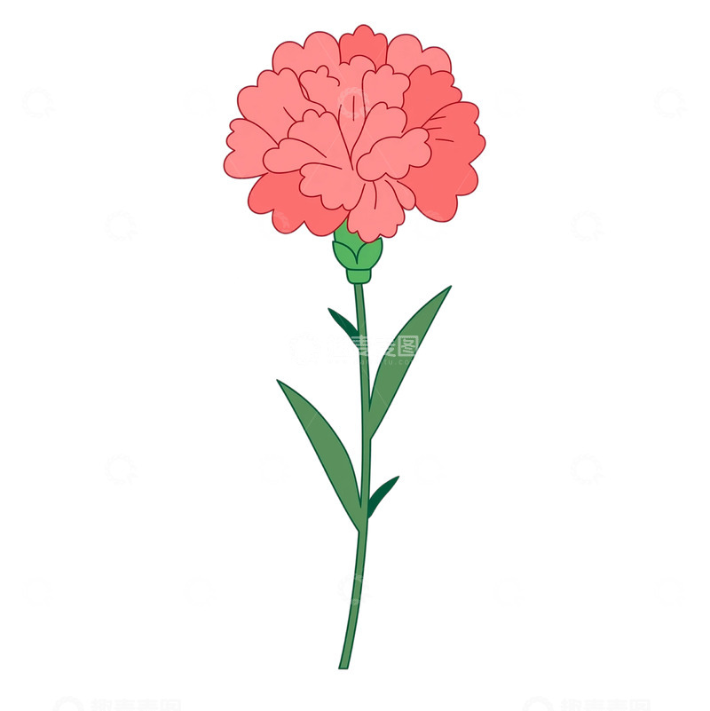 高清大图下载【趣麦麦图】柔粉色花瓣的静谧诗篇