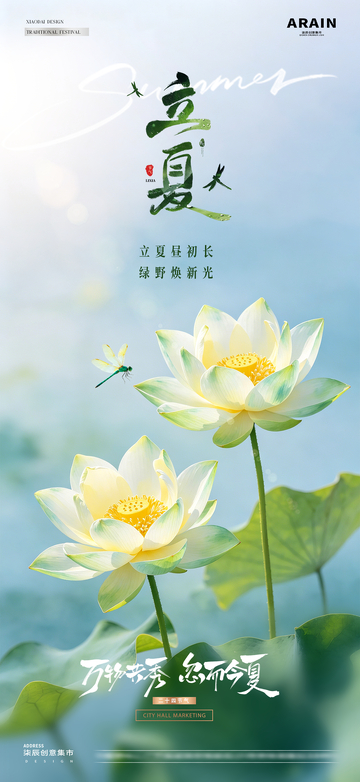 立夏小暑荷花风景海报2