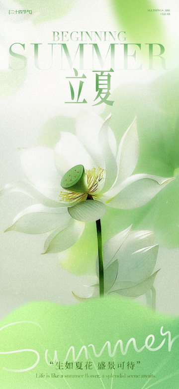 立夏荷花插画宣传海报