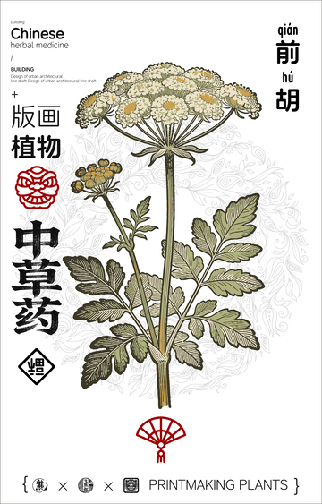中草药前胡版画设计素材