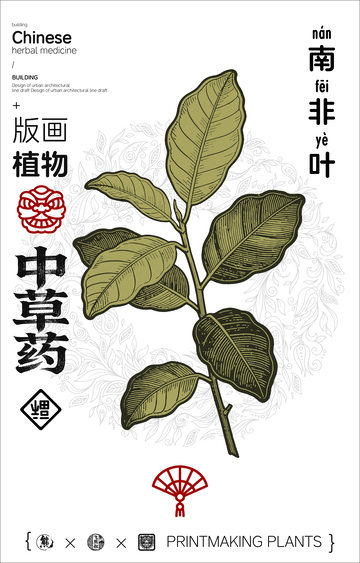 版画风格中草药南非叶设计素材