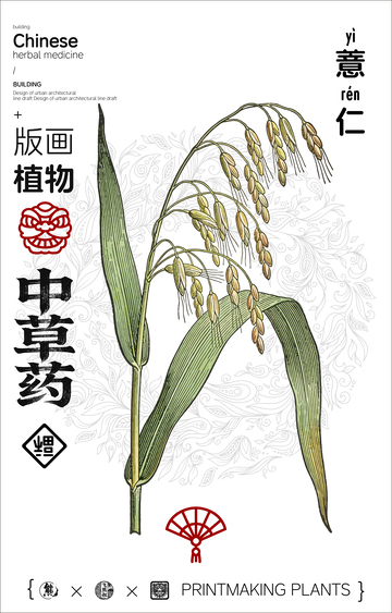 版画风格中草药植物设计素材
