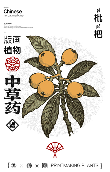 版画风格中草药枇杷叶设计素材
