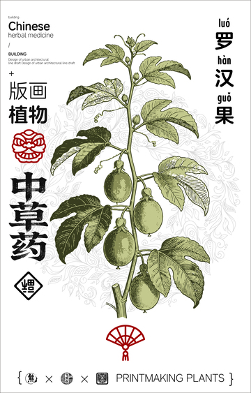 中草药罗汉果版画设计素材