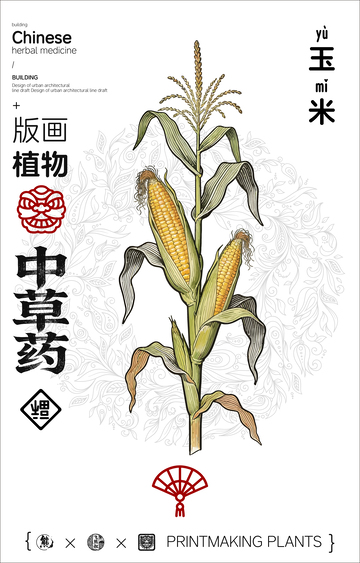 版画风格中草药玉米设计海报