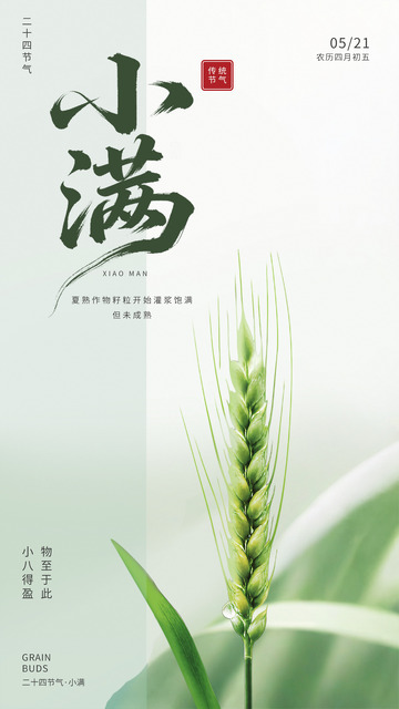 小满节气麦穗摄影海报设计素材