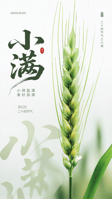 小满节气麦穗海报设计素材