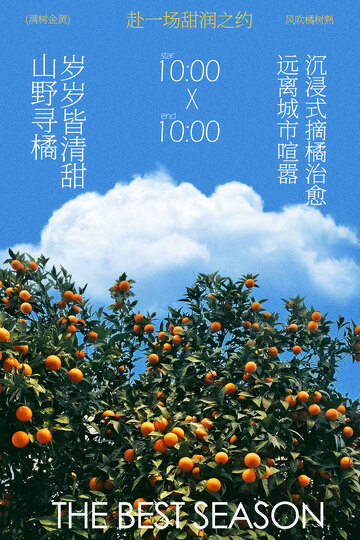 秋日橙园采摘活动海报