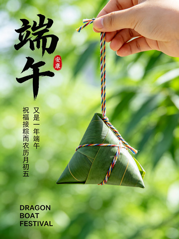 端午安康粽子节日